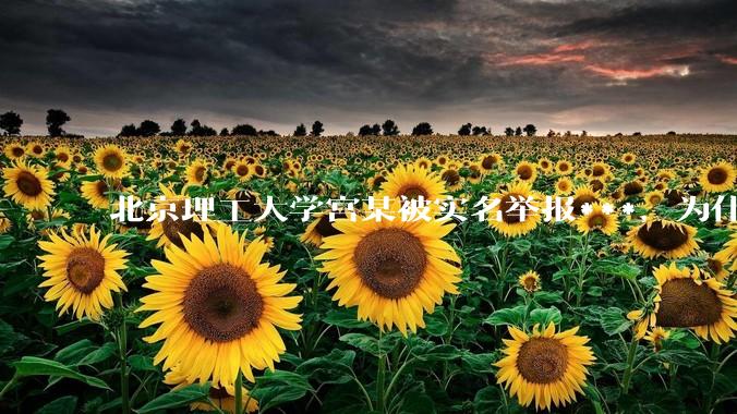 北京理工大学宫某被实名举报***，为什么感觉这么多人似乎站导师这边？