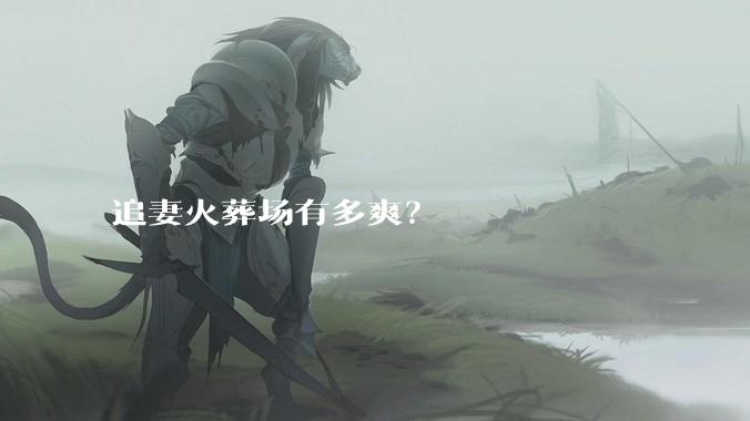 追妻火葬场有多爽？